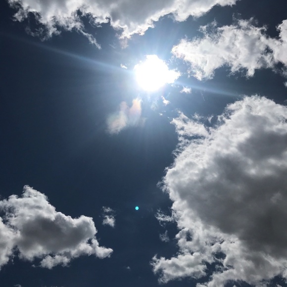 Posh Ambassador! - Picture 5 of 6